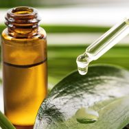 Tea Tree Oil For Hair- Pros And Cons You Should Be Aware Of